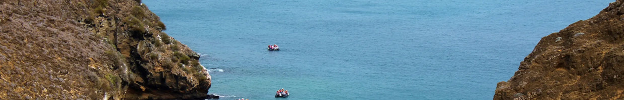 -UnCruise Adventures
